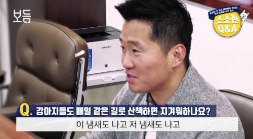 강아지도 매일 같은 길로 산책하면 지겨워 하나요?