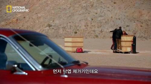 [스압] 모래에 빠르게 공간을 만들 수 있는 것.jpg
