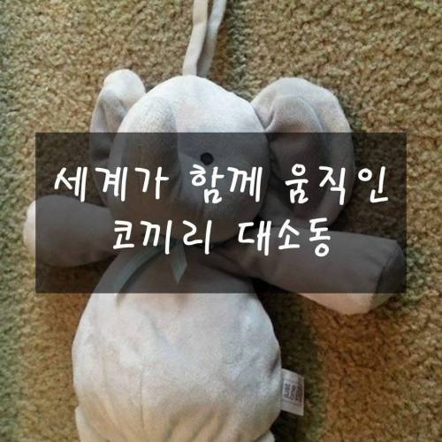 [스압] 코끼리 인형 소동.jpg