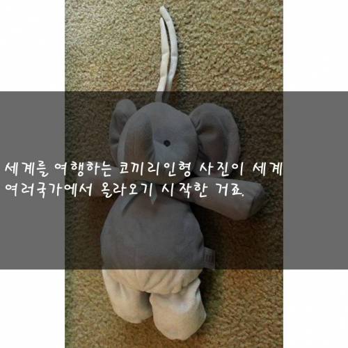 [스압] 코끼리 인형 소동.jpg