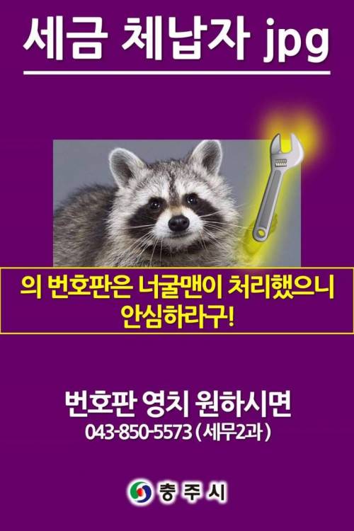 충주시의 귀여운 세금체납 독촉.jpg
