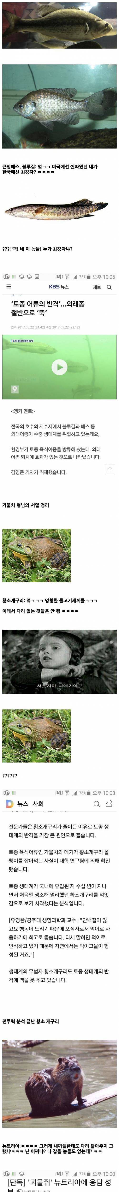 [스압] 국내 생태계 외래종 근황.jpg