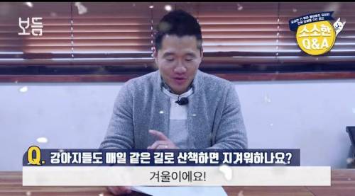 강아지도 매일 같은 길로 산책하면 지겨워 하나요?