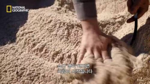 [스압] 모래에 빠르게 공간을 만들 수 있는 것.jpg
