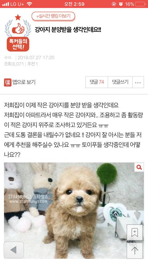 강아지 분양받을 생각인데요.jpg