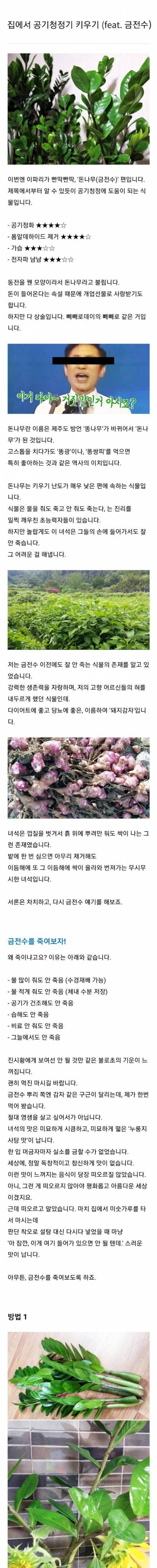 [스압] 죽이려고 해도 죽지 않는 불사의 식물.jpg