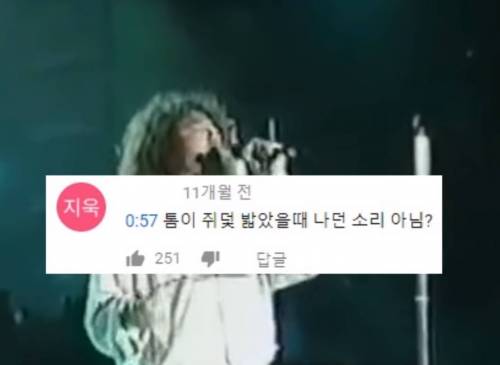 톰의 비명.swf