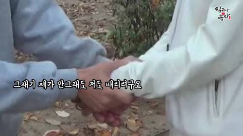[스압] 안일권 드뎌 싸워서 이겼다는 김창열 만남.jpg