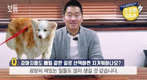 강아지도 매일 같은 길로 산책하면 지겨워 하나요?