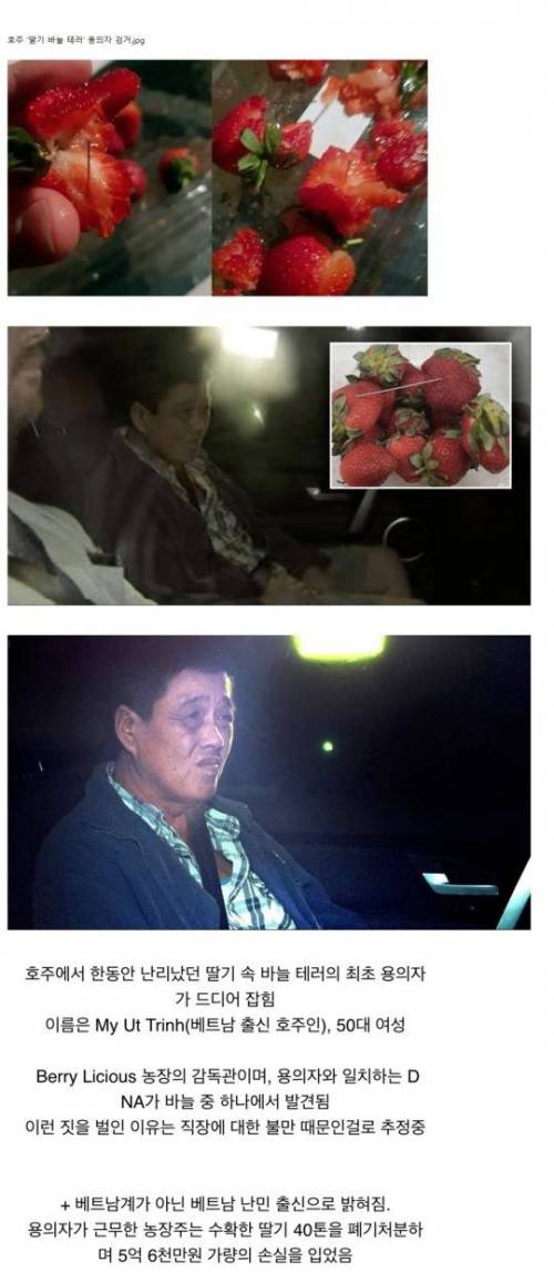 호주 딸기 바늘 테러 용의자 검거.jpg
