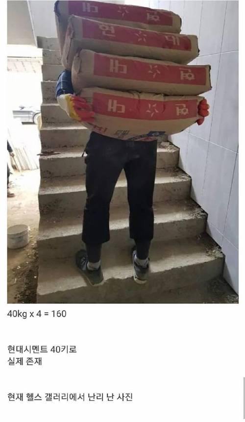 헬스갤 멘붕중.jpg