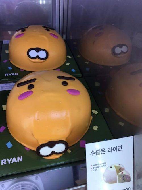 케이크 보관 대참사.jpg