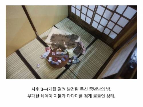 [약혐] 미니어처로 재현한 고독사 현장.jpg