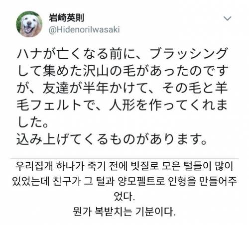 친구가 하늘로간 댕댕이를 만들어줬다.jpg