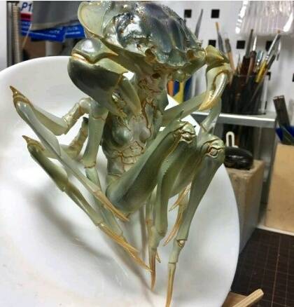 다 먹은 게를 활용한 아트.jpg
