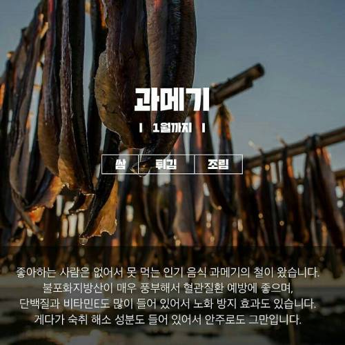 11월에 먹으면 좋은거.jpg