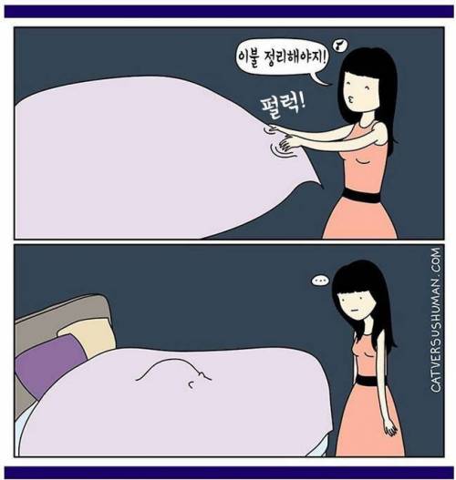 집사 만화.jpg
