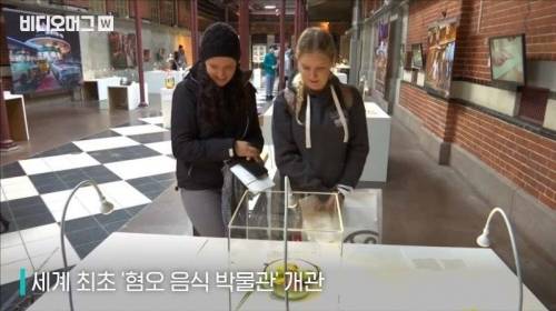 [스압&약혐] 세계 혐오 음식 박람회.jpg