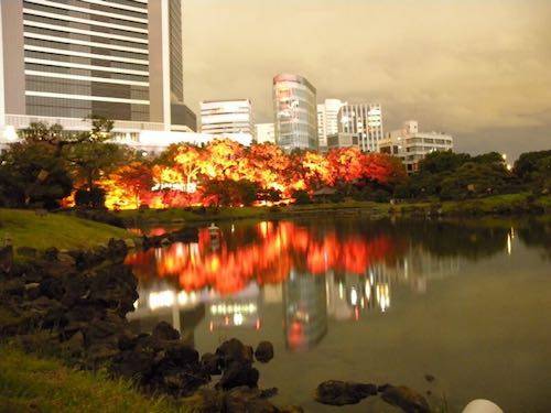 도쿄 공원 대폭발.jpg