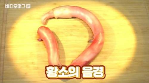 [스압&약혐] 세계 혐오 음식 박람회.jpg