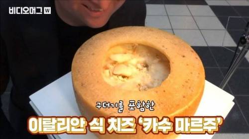 [스압&약혐] 세계 혐오 음식 박람회.jpg