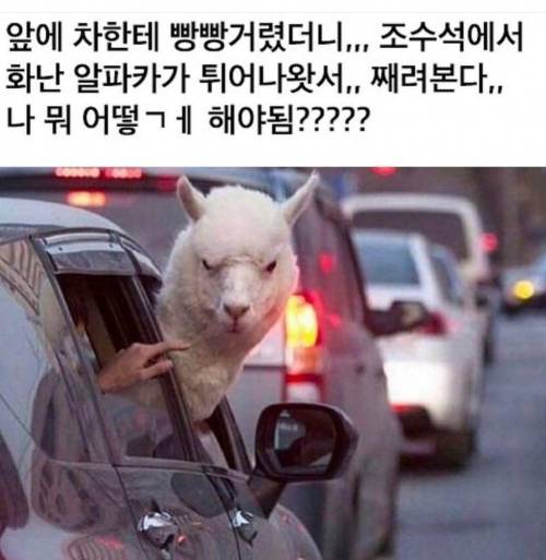 앞차한테 빵빵거렸더니.jpg