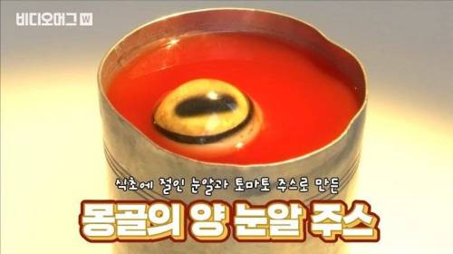 [스압&약혐] 세계 혐오 음식 박람회.jpg