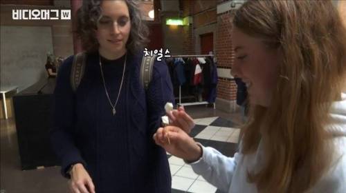 [스압&약혐] 세계 혐오 음식 박람회.jpg