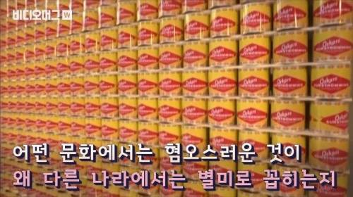 [스압&약혐] 세계 혐오 음식 박람회.jpg