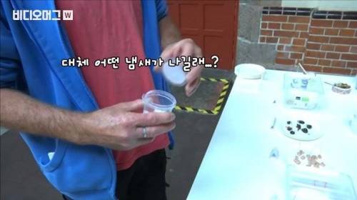 [스압&약혐] 세계 혐오 음식 박람회.jpg