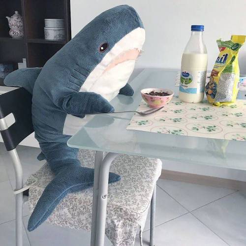 [스압] 이케아 인기템 상어인형.jpg