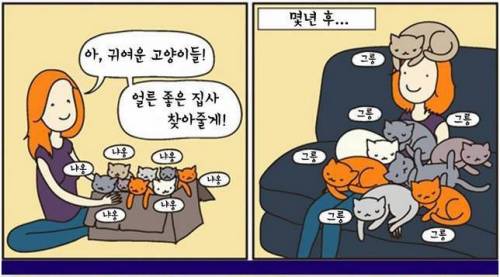 집사 만화.jpg