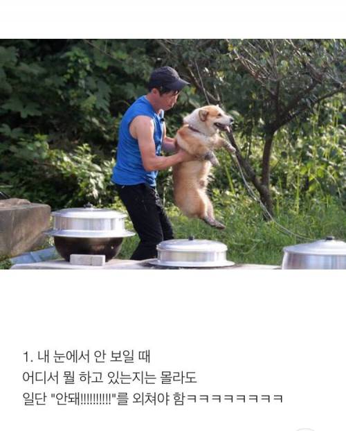 [스압] 반려견 키우는 사람이 소름 돋는 순간 .jpg