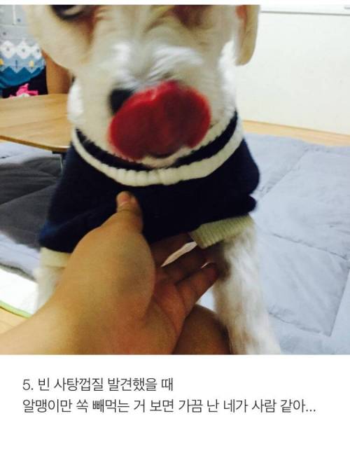 [스압] 반려견 키우는 사람이 소름 돋는 순간 .jpg