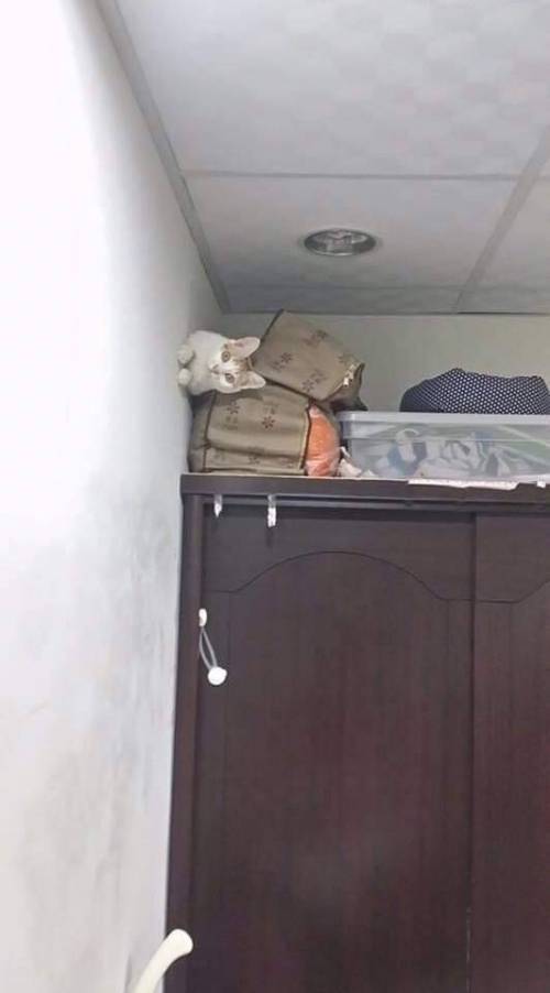 이해할 수 없는 생물.jpg