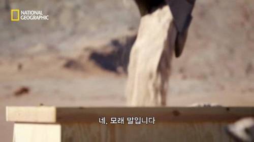 [스압] 모래에 빠르게 공간을 만들 수 있는 것.jpg