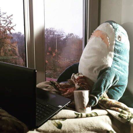 [스압] 이케아 인기템 상어인형.jpg