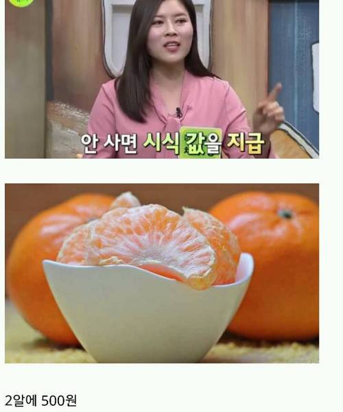 북한에서 귤의 희소성.jpg