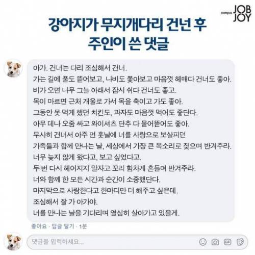 강아지가 무지개다리를 건넌후 주인이 쓴 댓글