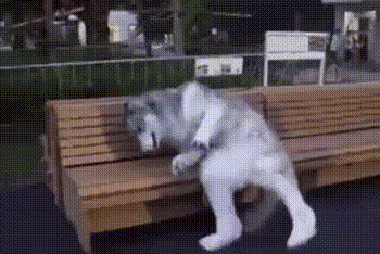 거기서 자면 얼어 죽어요 아저씨~.gif