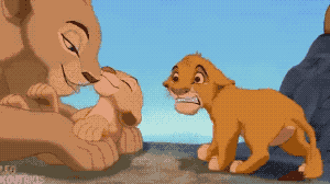 24년만에 발견한 라이언킹 옥의티.gif