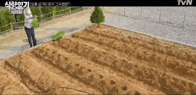 서장훈 재능낭비 甲.gif