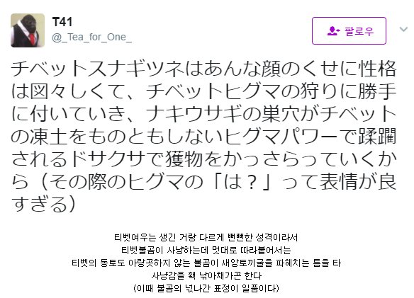 티벳여우와 티벳 곰.jpg