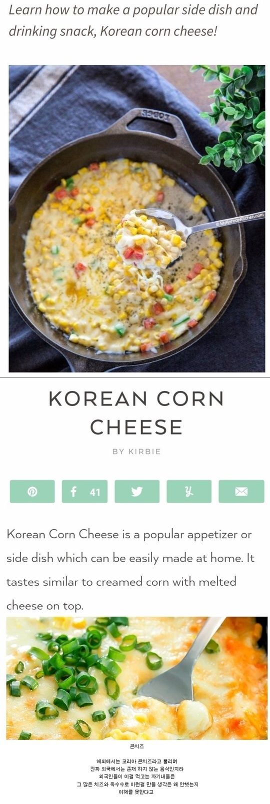 외국인들이 환장하는 한식메뉴.jpg