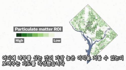 [스압] 도시에 나무를 더 많이 심어야 하는 이유