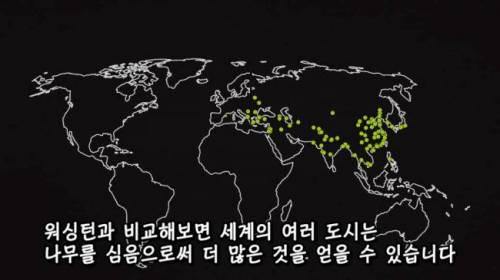 [스압] 도시에 나무를 더 많이 심어야 하는 이유