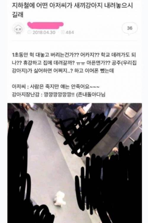 지하철에 어떤 아저씨가 새끼강아지 내려놓길래...