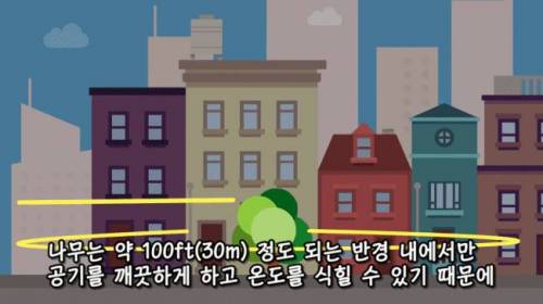 [스압] 도시에 나무를 더 많이 심어야 하는 이유