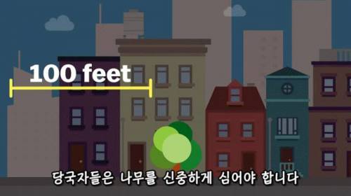 [스압] 도시에 나무를 더 많이 심어야 하는 이유