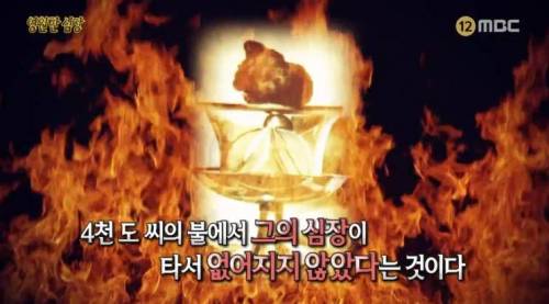 [스압] 영원한 심장.jpg